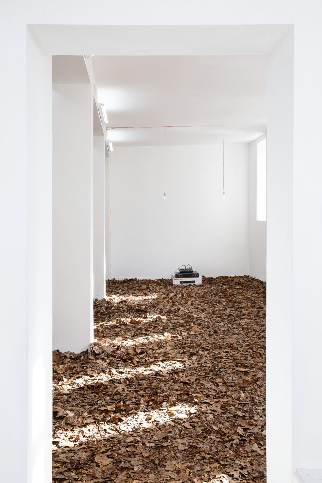 Post-Mortem Solutions — François Lancien-Guilberteau