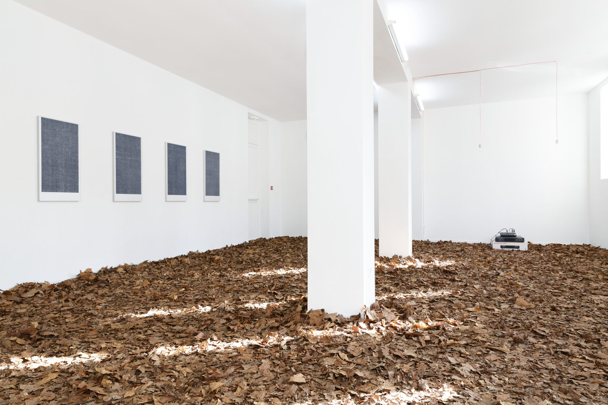 Post-Mortem Solutions — François Lancien-Guilberteau