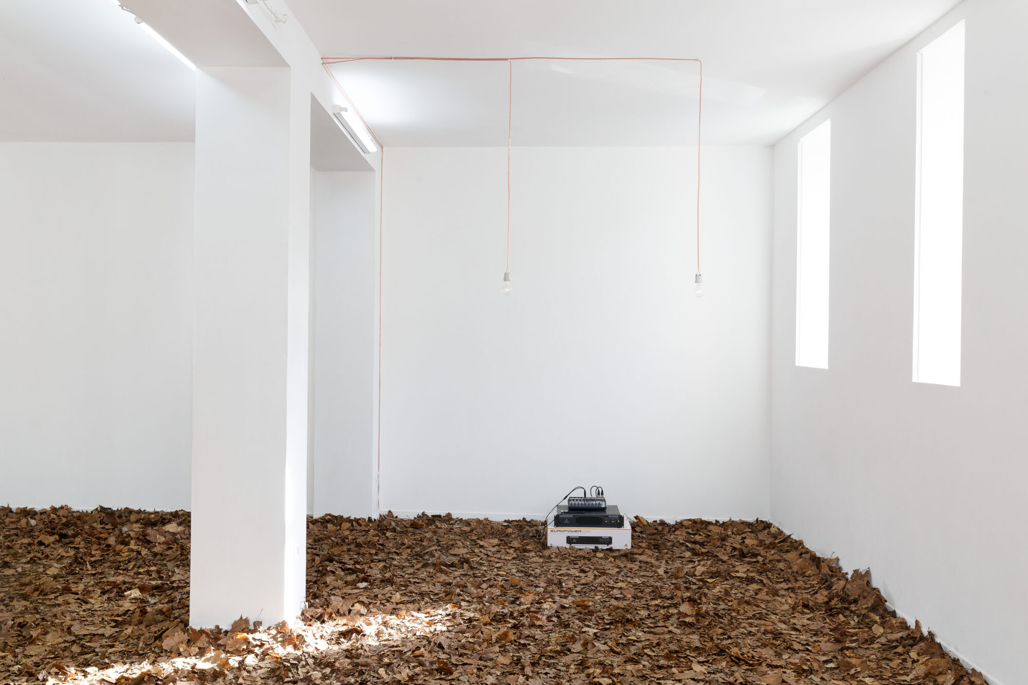 Post-Mortem Solutions — François Lancien-Guilberteau