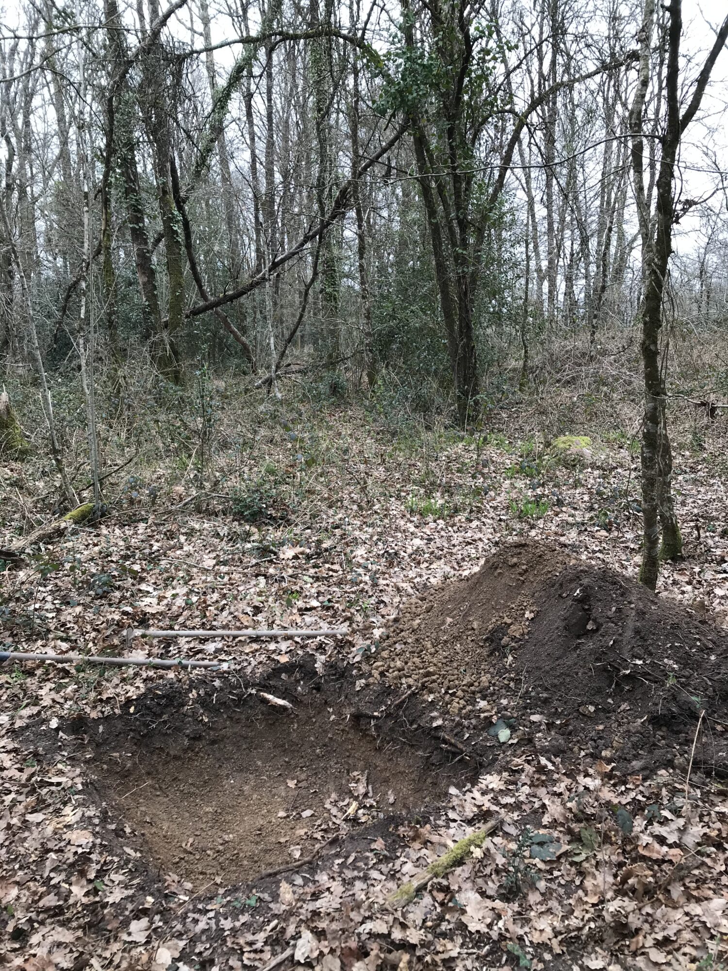 Post-Mortem Solutions — François Lancien-Guilberteau